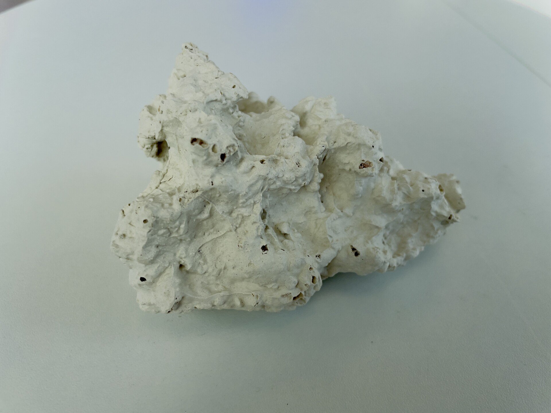 Anemonenhöhle klein
