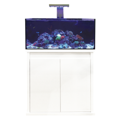 D-D Reef-Pro 900