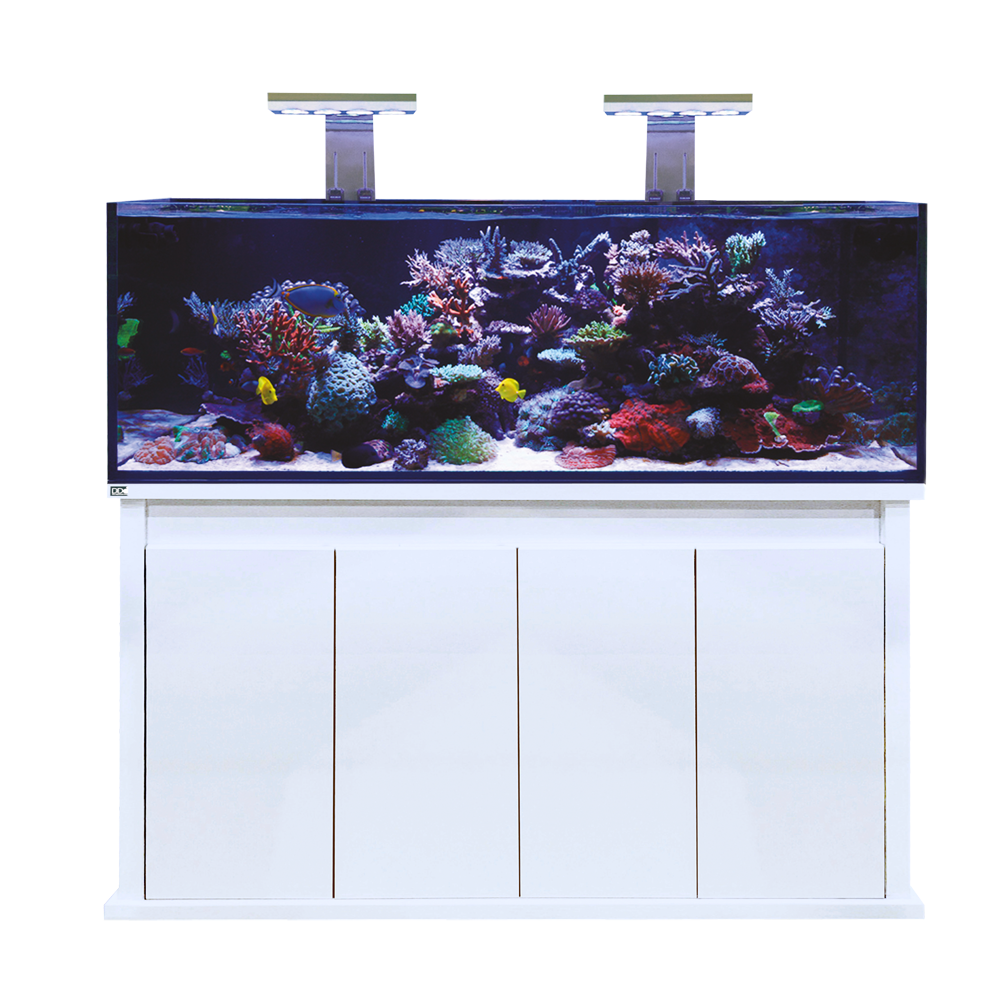 D-D Reef-Pro 1500