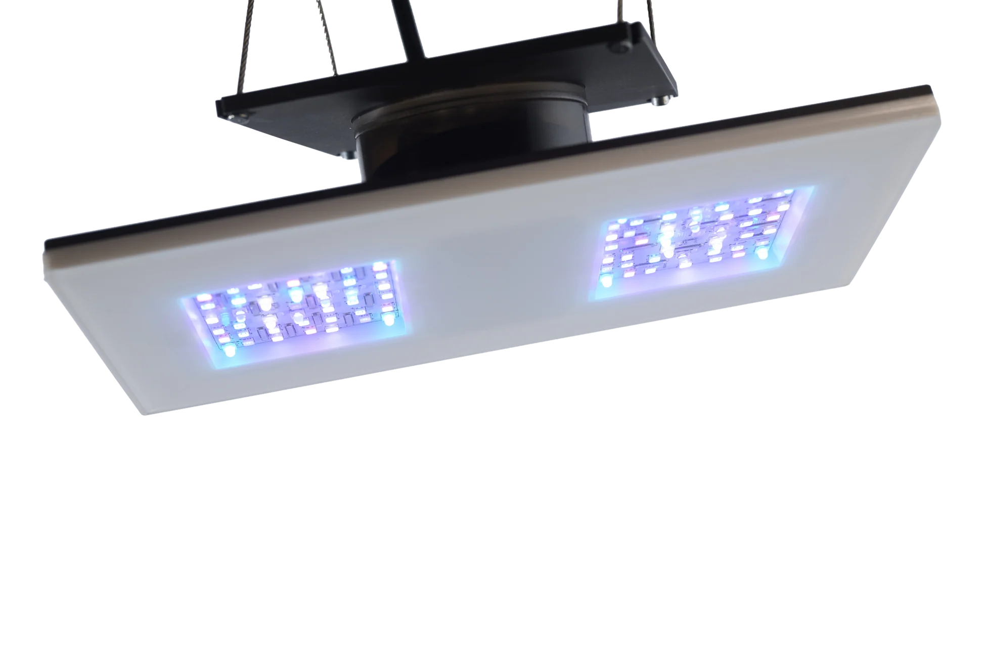 Gravity21 2x1 Modul 30 Watt 200x100x10mm