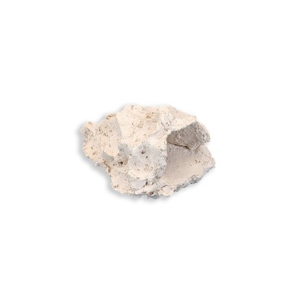 Anemonenhöhle S ca. 8cm