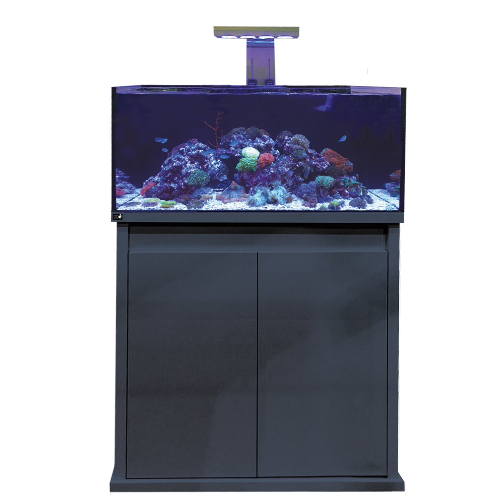 D-D Reef-Pro 900