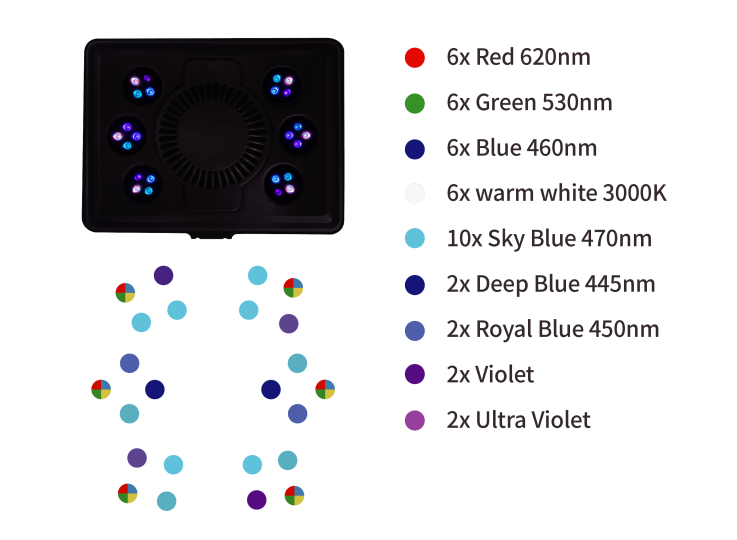 maxspect jump blue