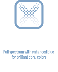 ATI Straton X Spektrum.png?ts=1764179288