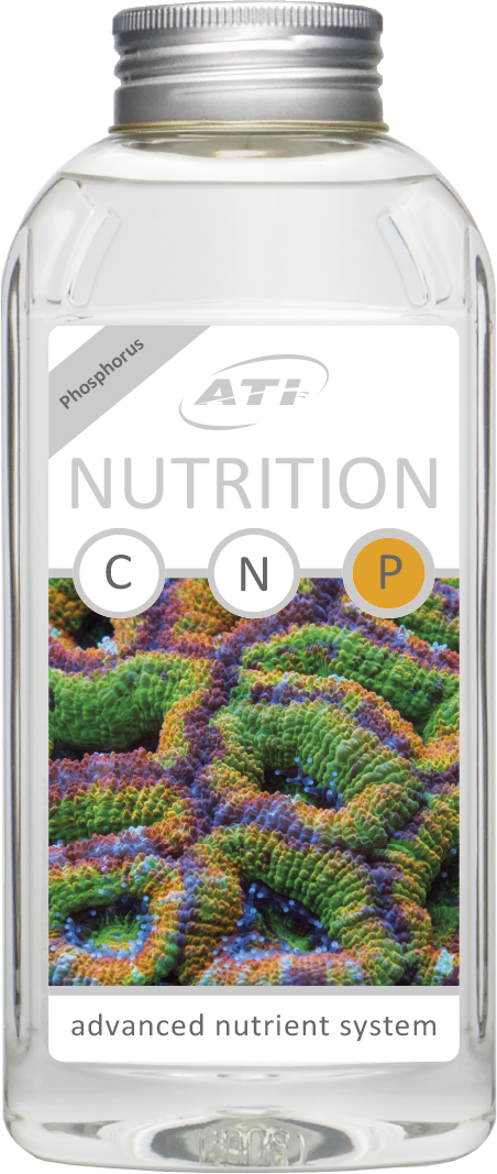 ATI Nutrition P 2000 ml 