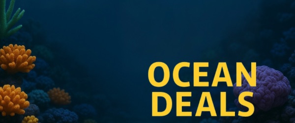 Aktion läuft noch ….