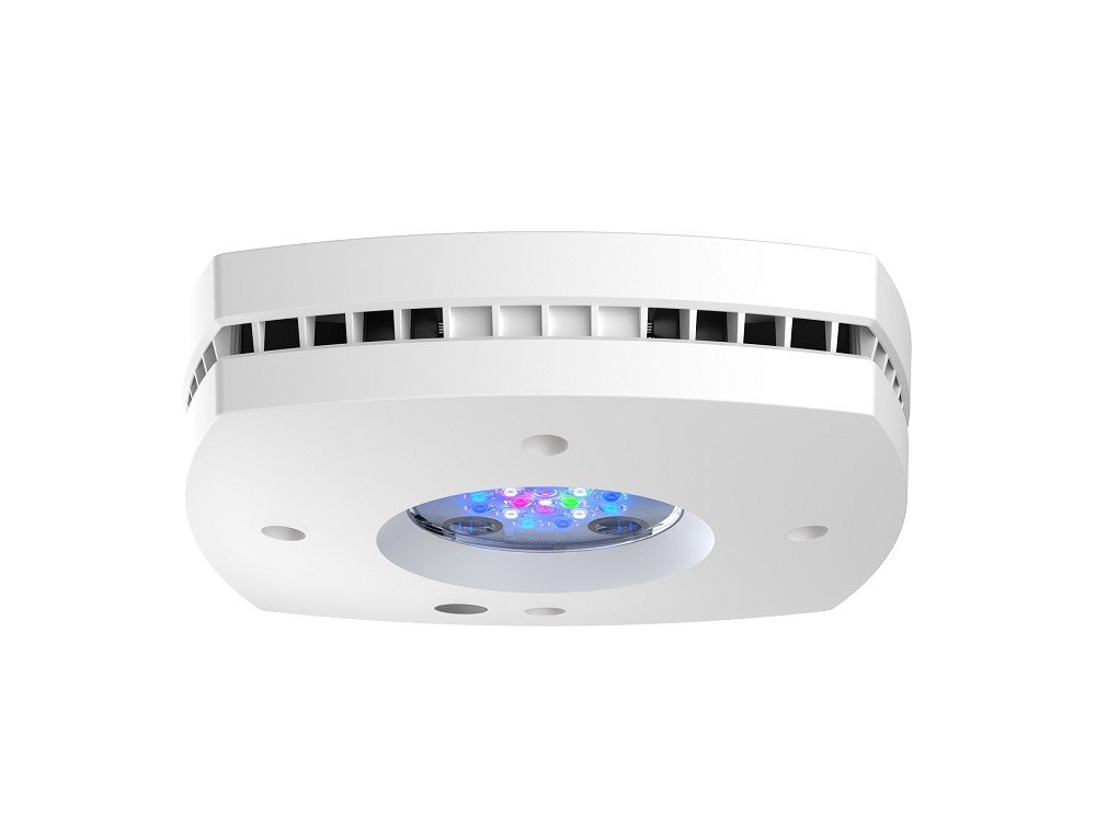 AI Prime 16HD Reef