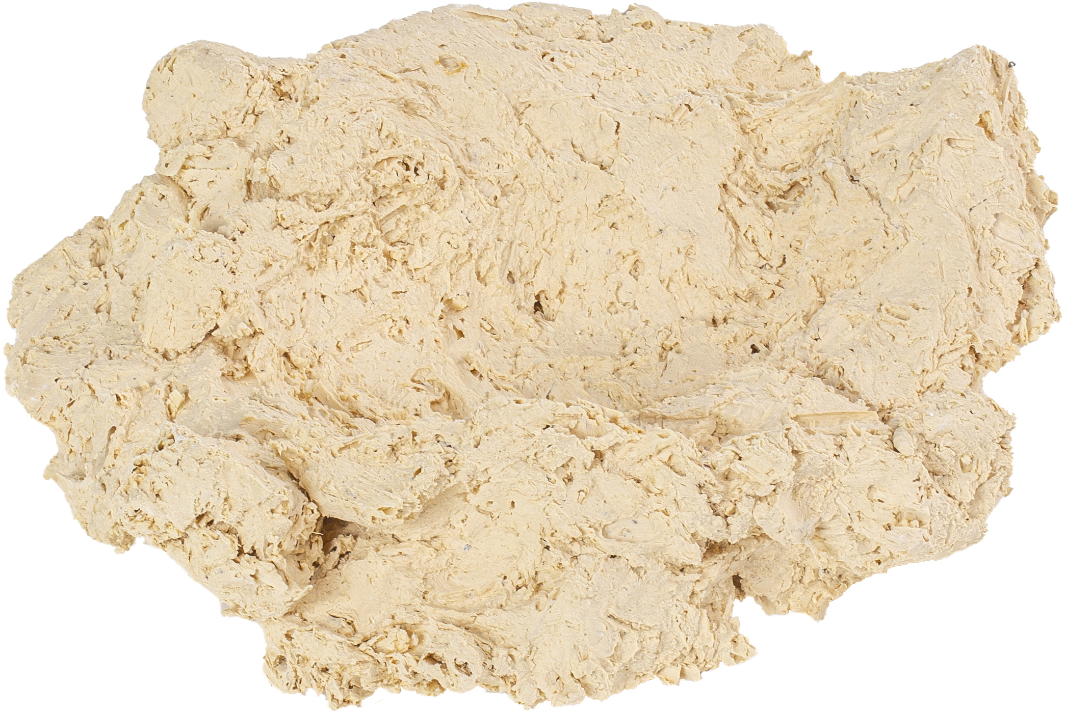 ARKA Muschelhalter in verschiedenen Größen