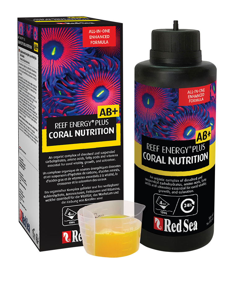 Reef Energy® Plus
