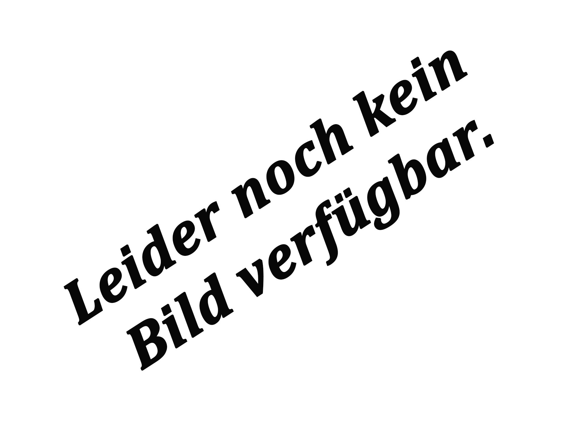 H2Ocean Montagevorrichtung für P4 H2Ocean Montagevorrichtung für P4