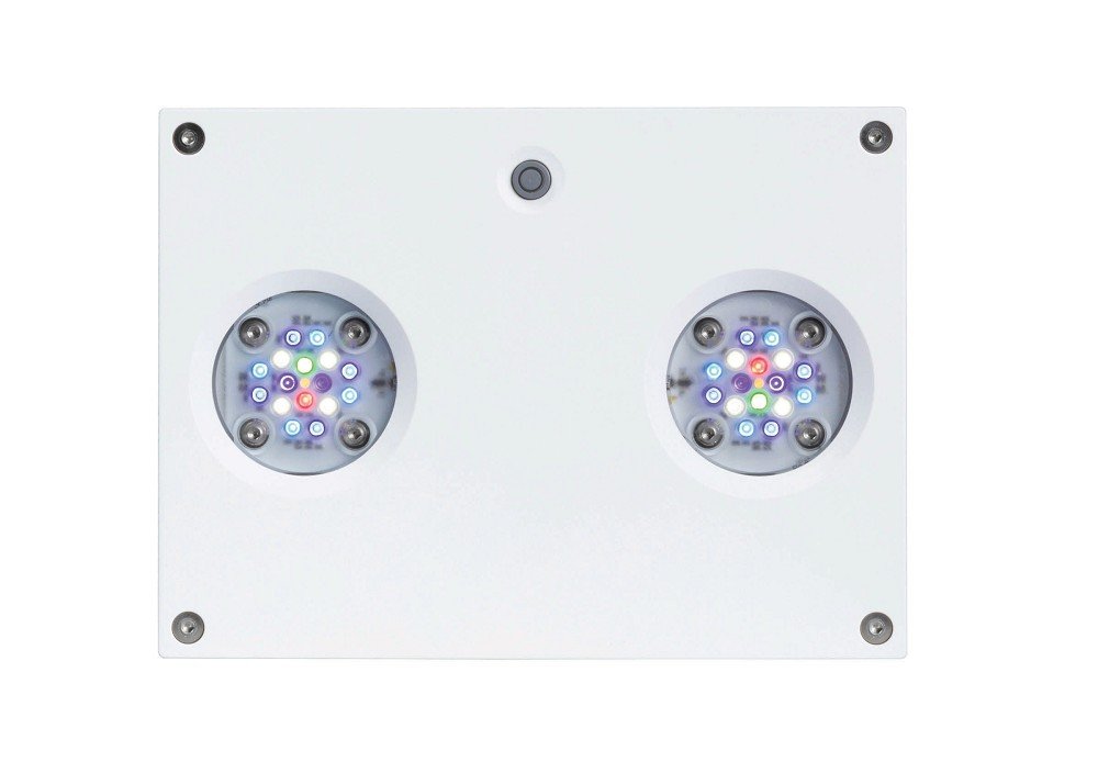 AI Hydra HD 32 LED AI Hydra HD 32 LED