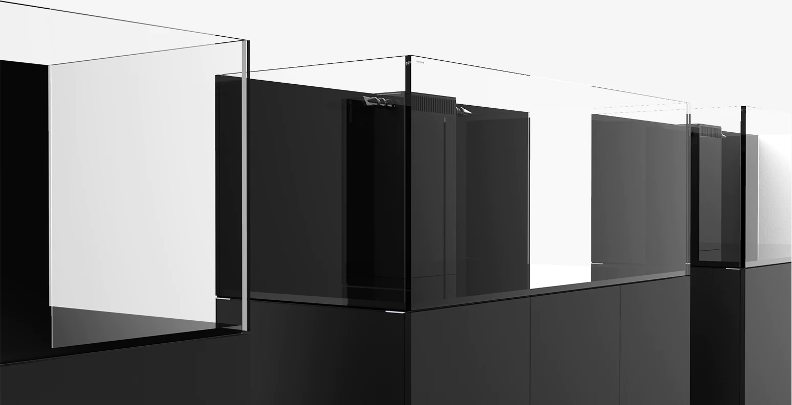 Waterbox Aquarium1.webp