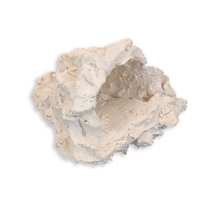 Anemonenhöhle M ca. 17cm