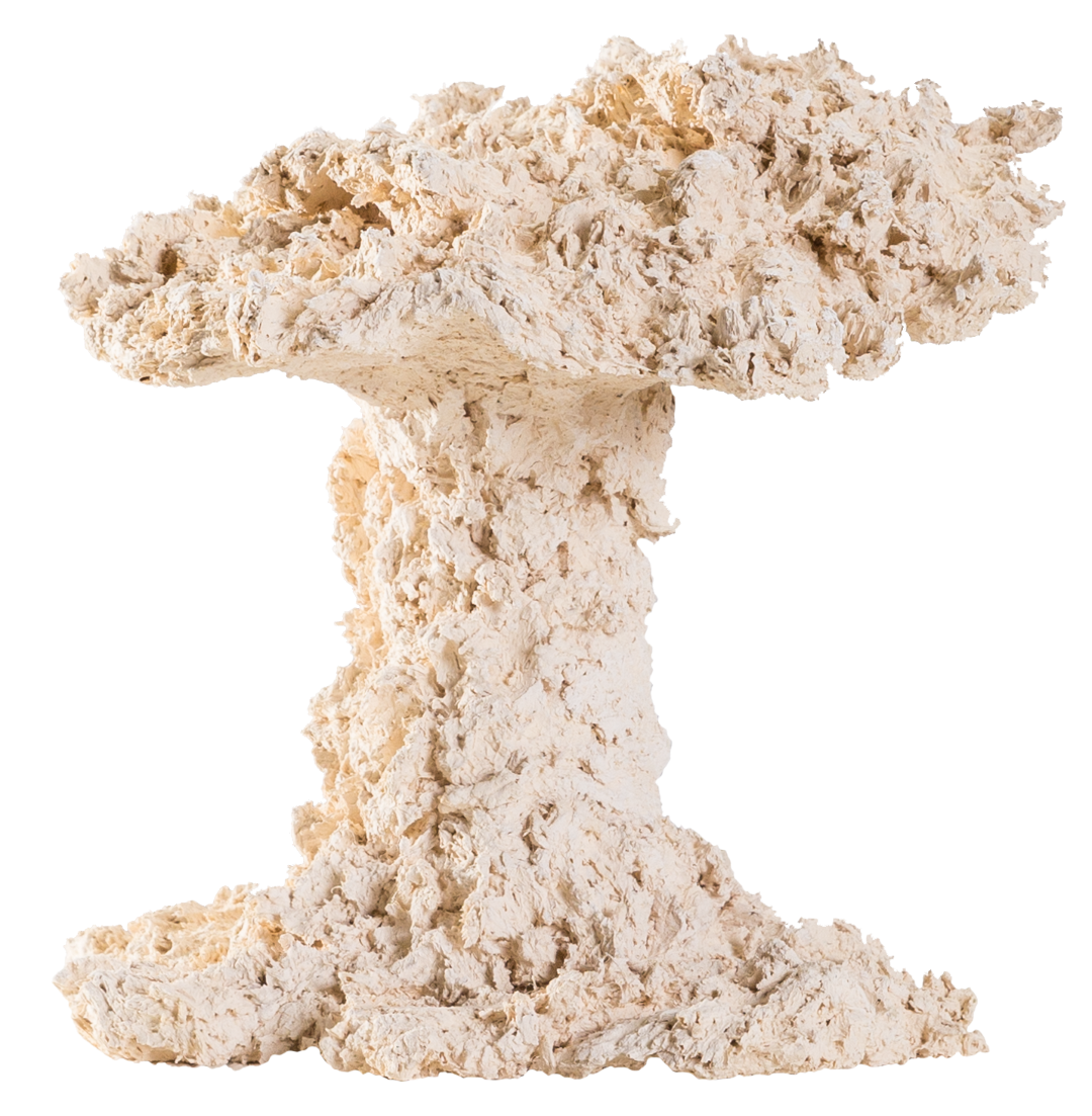 Riffpilz 20-40cm Riffpilz 20-40cm