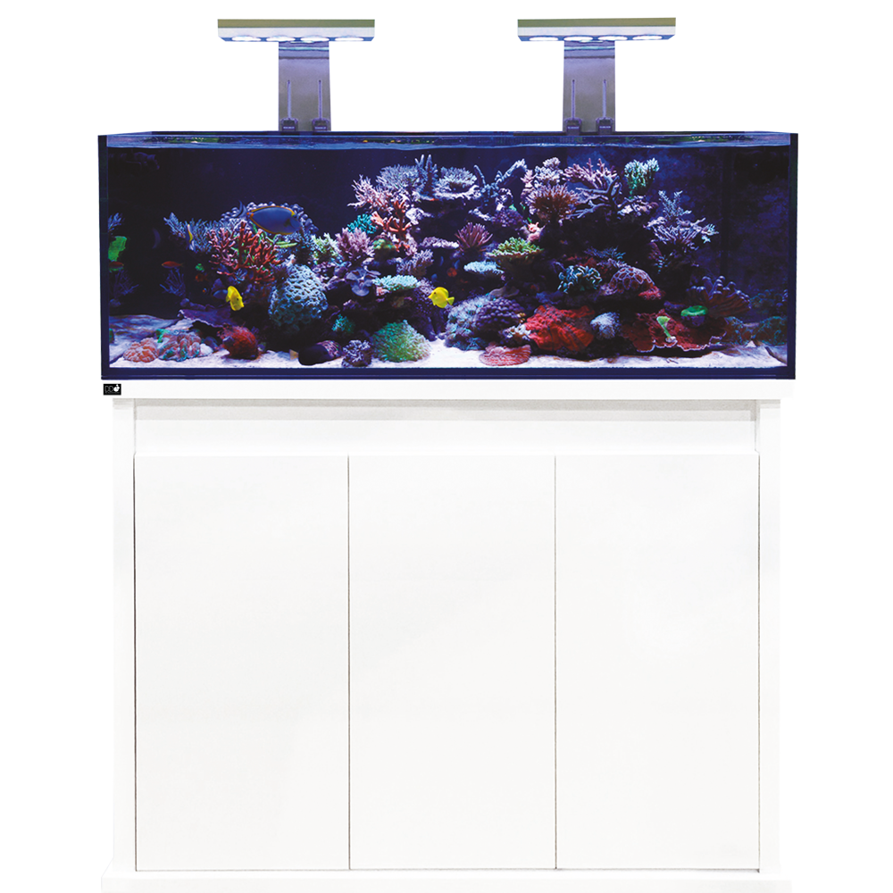 D-D Reef-Pro 1200