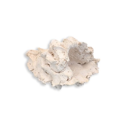 Anemonenhöhle M ca. 11cm