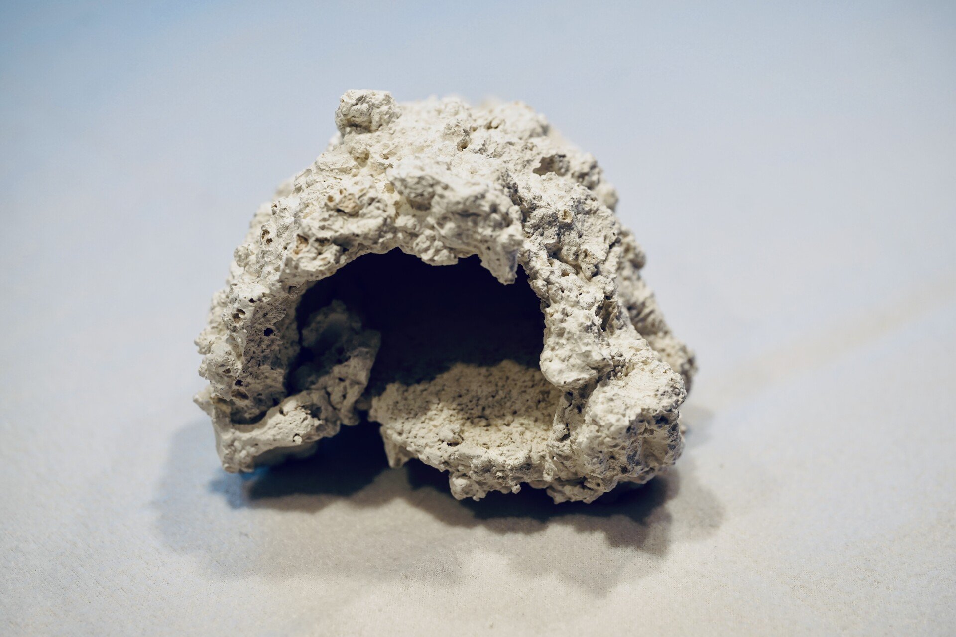 Anemonenhöhle groß