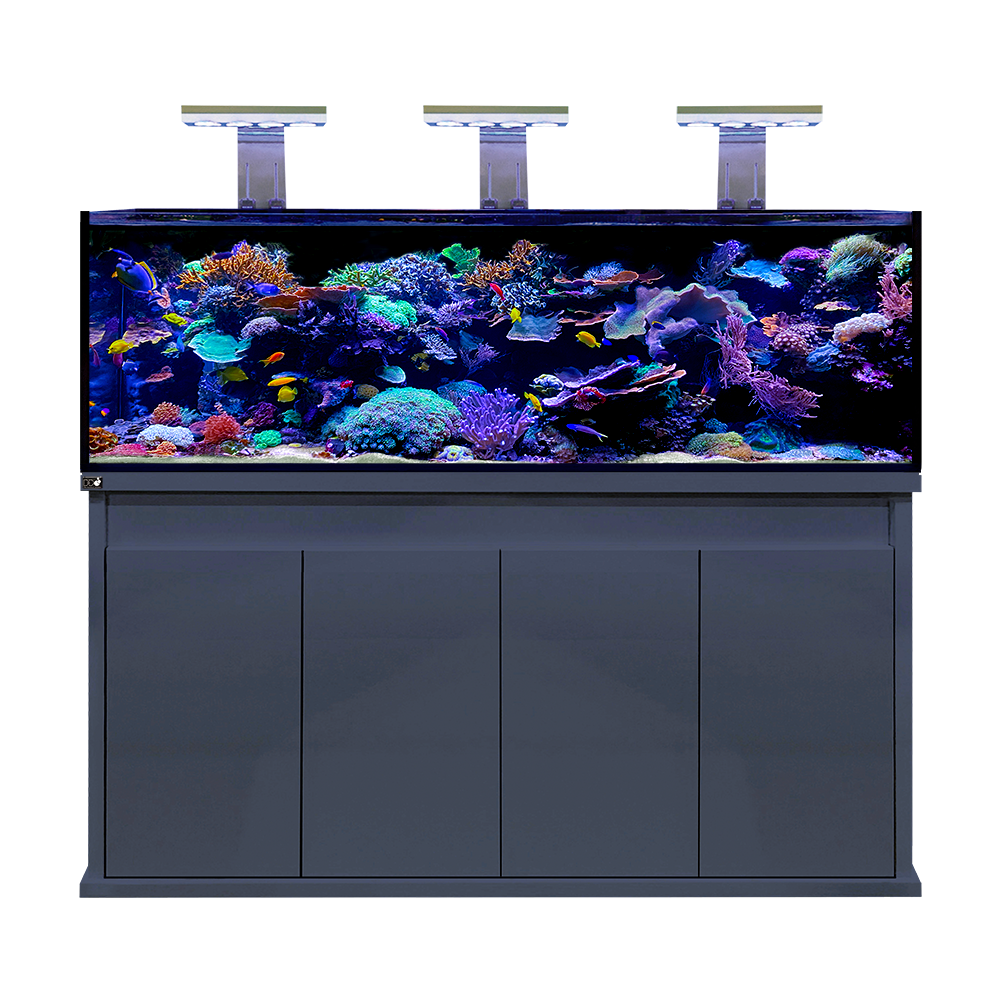 D-D Reef-Pro 1800