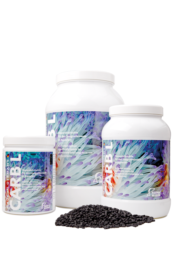 Fauna Marin - Carb L Fauna Marin - Carb L