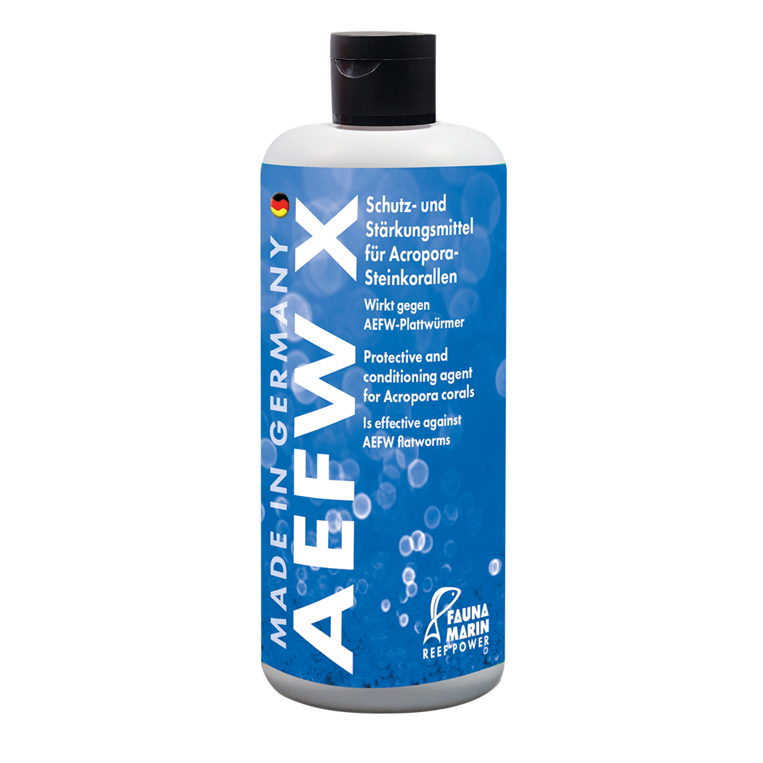 AEFW X