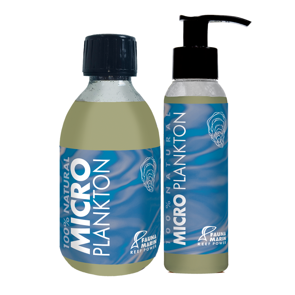 Fauna Marin Micro Plankton Fauna Marin Micro Plankton